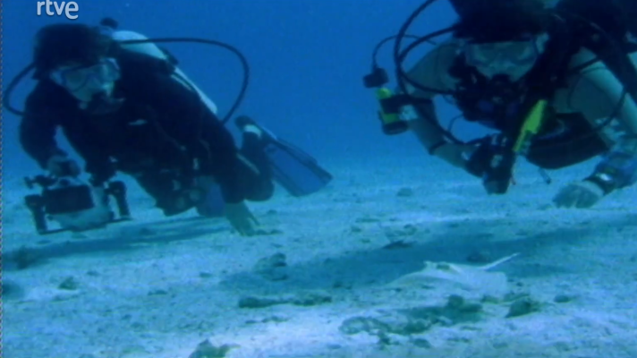 Al filo de lo imposible - La tierra  de la larga nube blanca