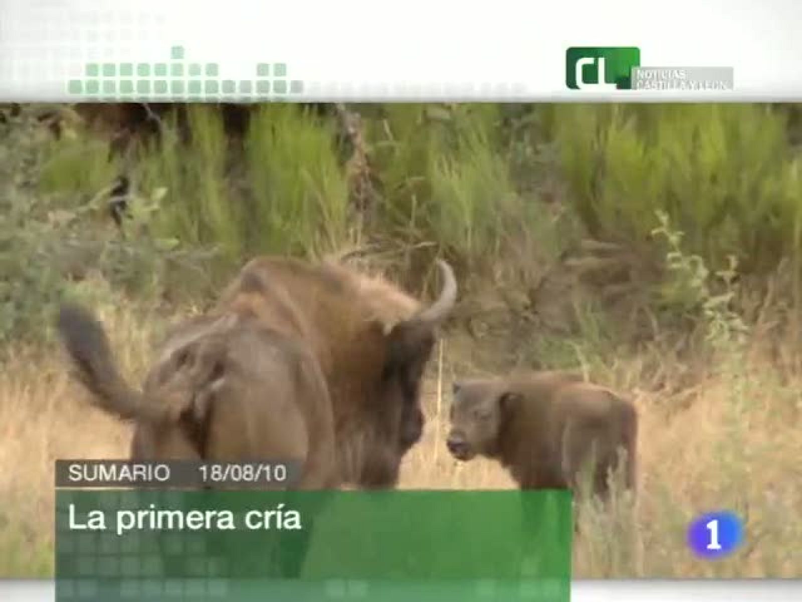 Noticias Castilla y León. Informativo Territorial de Castilla y León. (18/08/10)