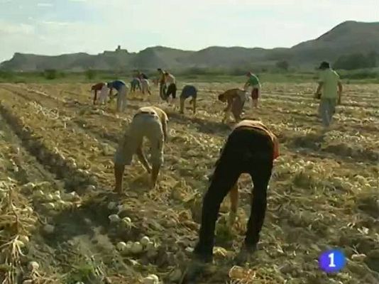 Noticias Aragón - Noticias Aragón - 18/08/10