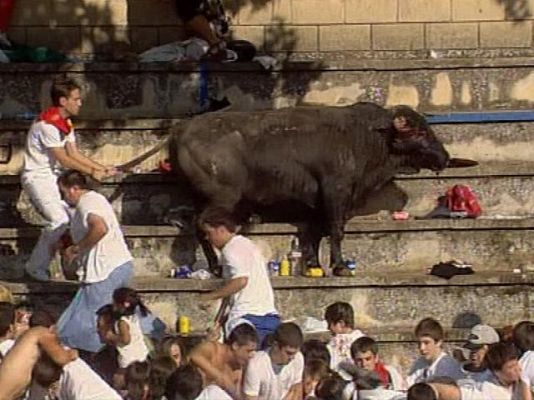  - Susto de "Quesero" en Tafalla
