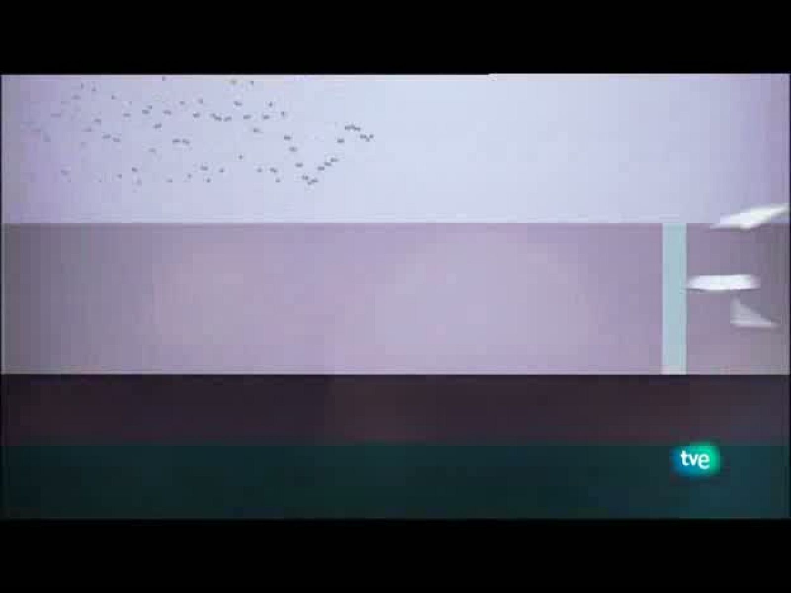 Jóvenes solistas - 21/08/10 - Jóvenes solistas | Ver