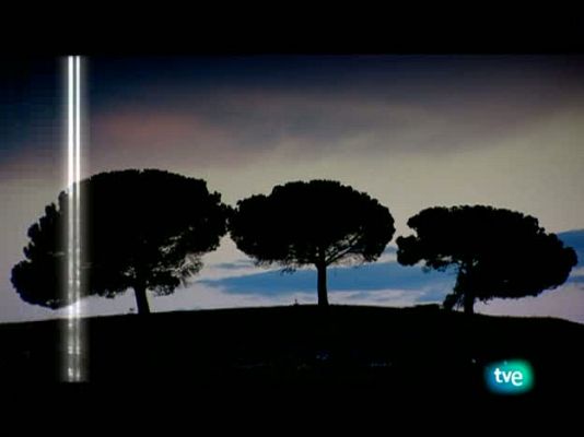 La dieta mediterránea - Frutas frescas