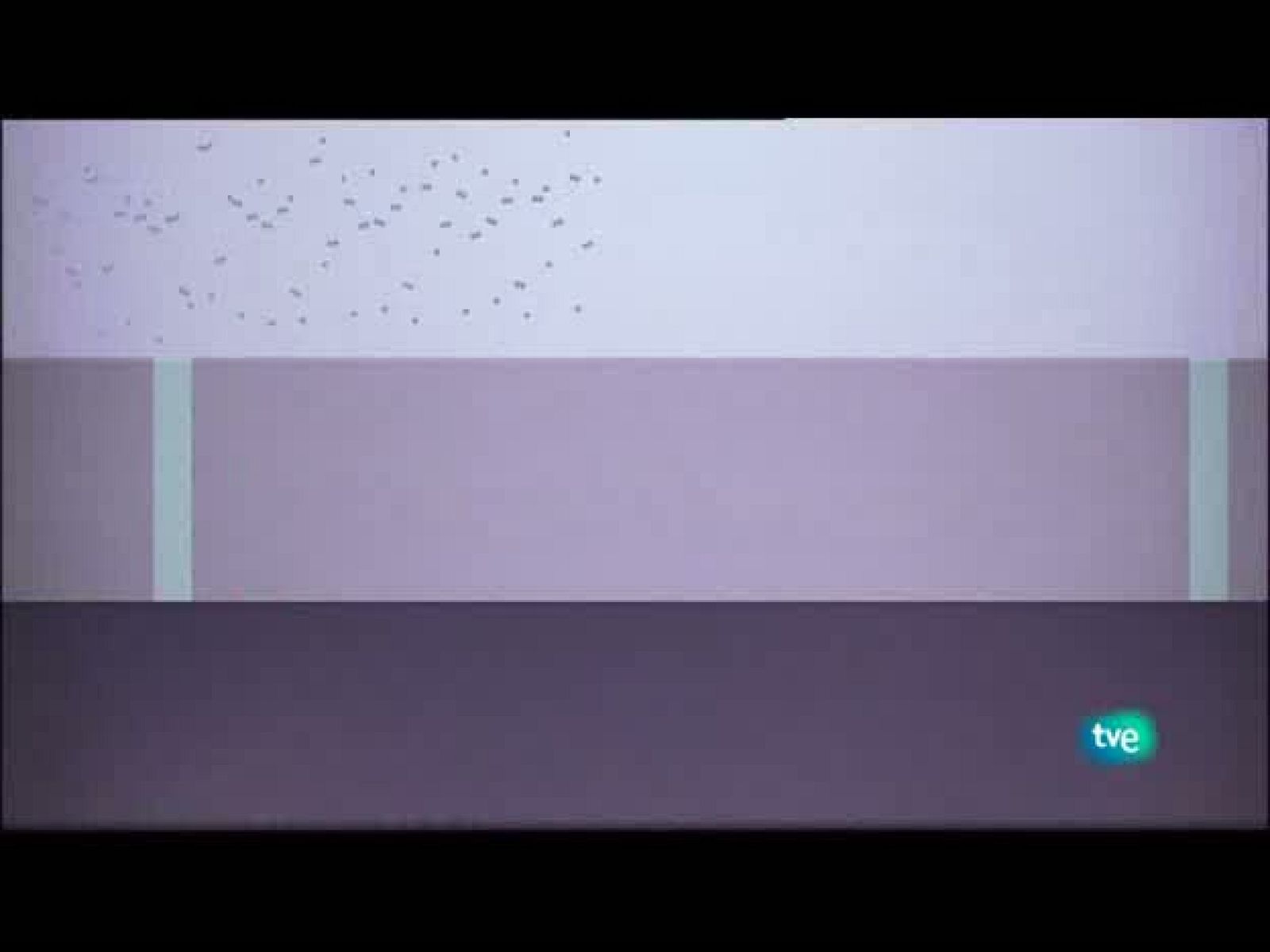 Jóvenes solistas - 22/08/10 - Ver ahora