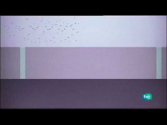 Jóvenes solistas - Jóvenes solistas - 22/08/10