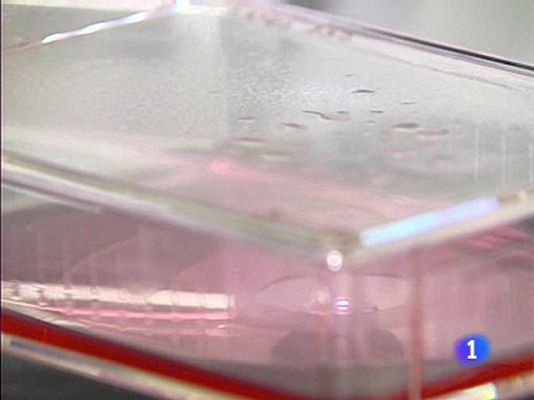  - Investigación con células madre