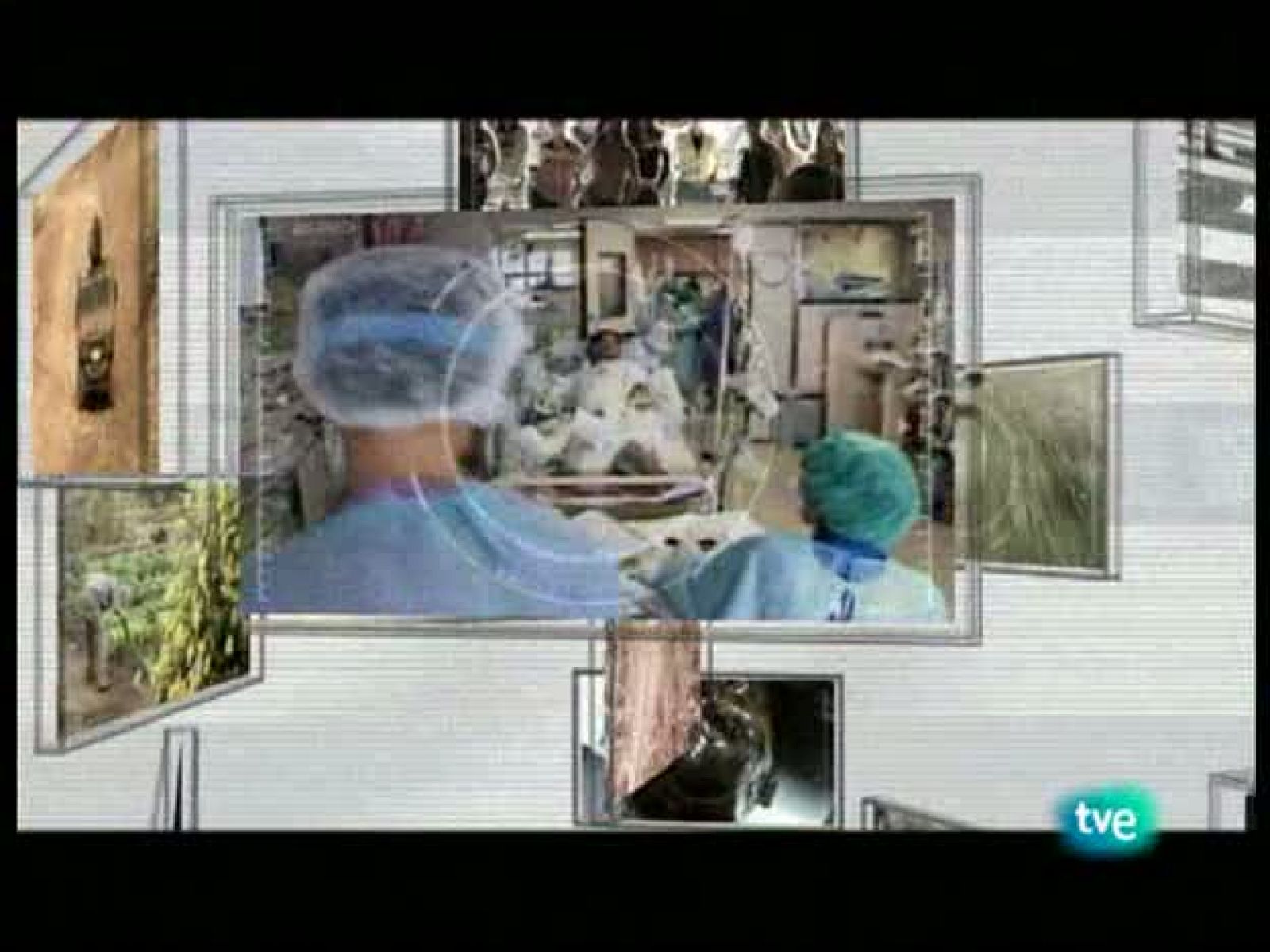 En realidad - Estamos a salvo - En realidad | Ver