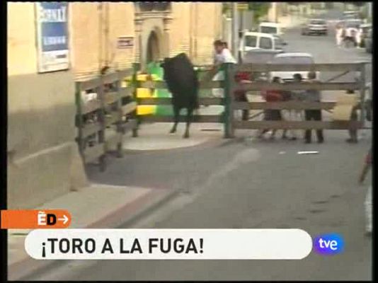 España Directo - España Directo - 23/08/10