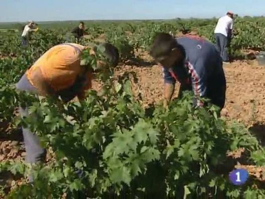 Noticias de Castilla-La Mancha - Noticias de Castilla La Mancha. Informativo de Castilla La Mancha. (24/08/10).