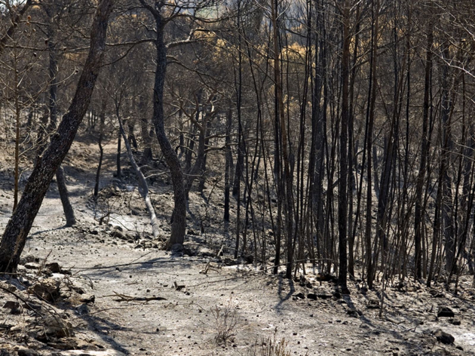 Fuego casi controlado