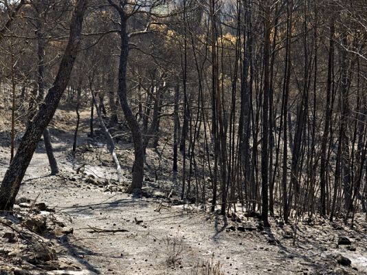  - Fuego casi controlado