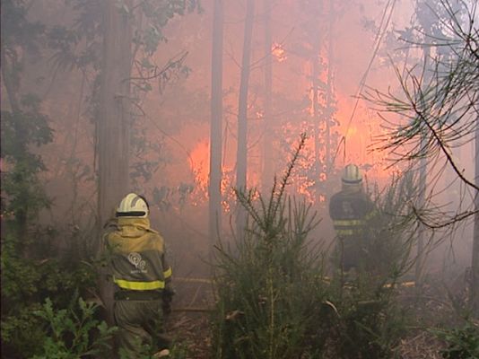 Reporteros del Telediario - 96% de los incendios, intencionados