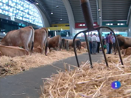 Panorama Regional - Panorama regional - 26/08/10