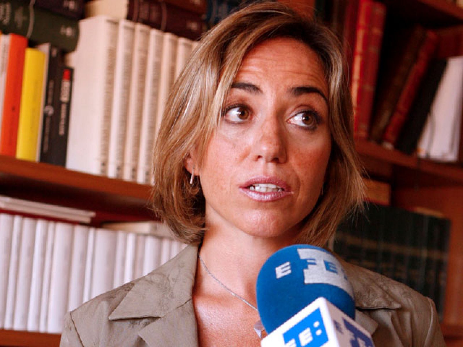 Chacón recuerda a Rajoy que fue Aznar quien envió las tropas a Afganistán | Ver