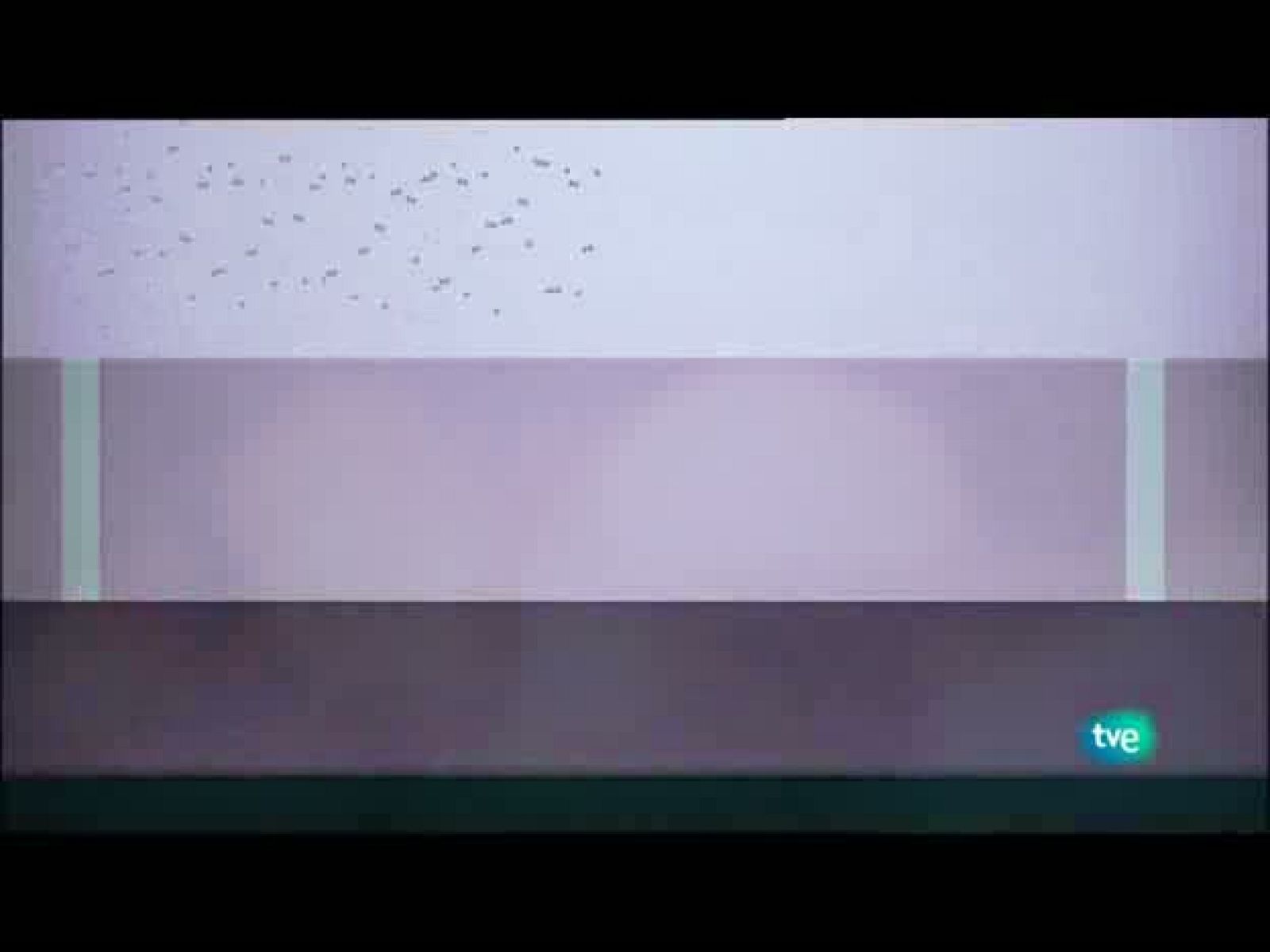 Jóvenes solistas - 28/08/10 - Ver ahora