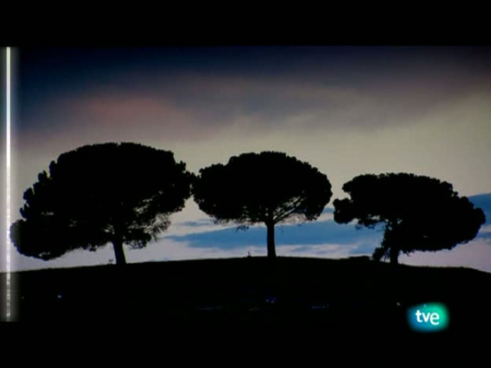 La dieta mediterránea - Azúcar y miel - Ver ahora