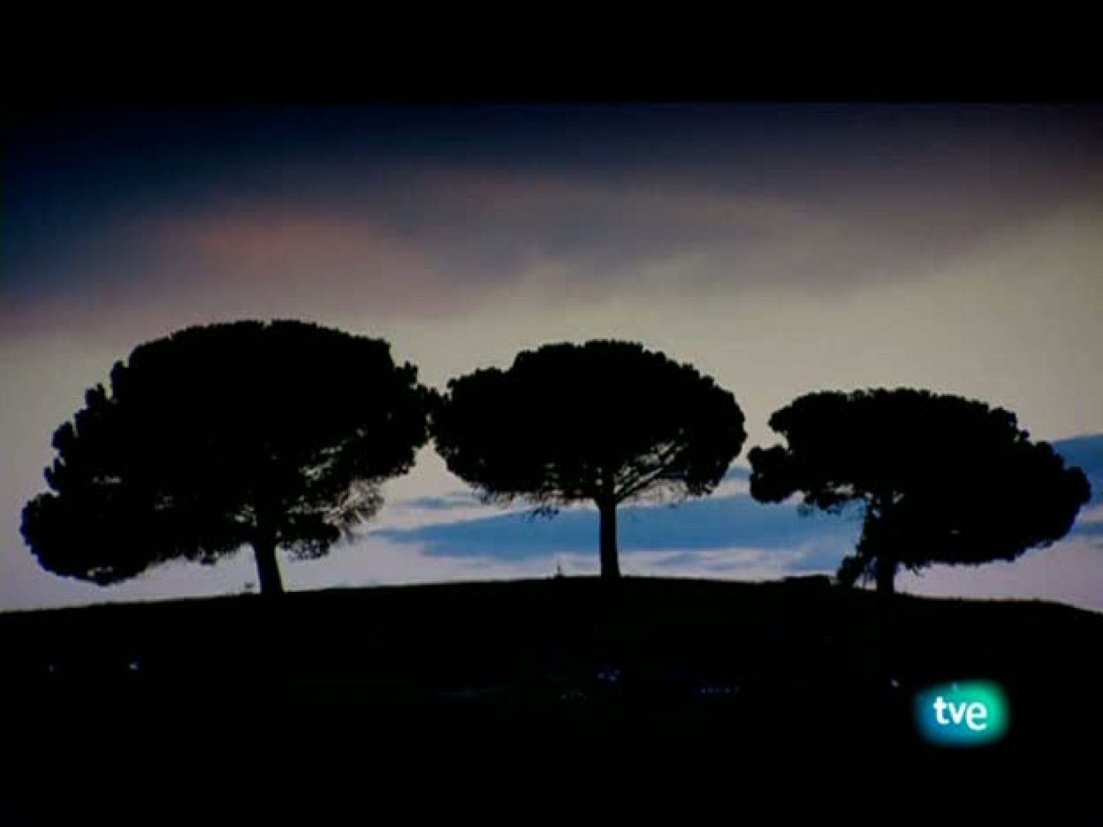 La dieta mediterránea - La pasta - La dieta mediterránea | Ver