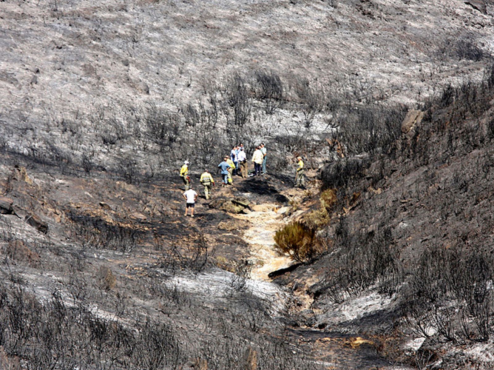 Informe Semanal: Tras el fuego en Galicia