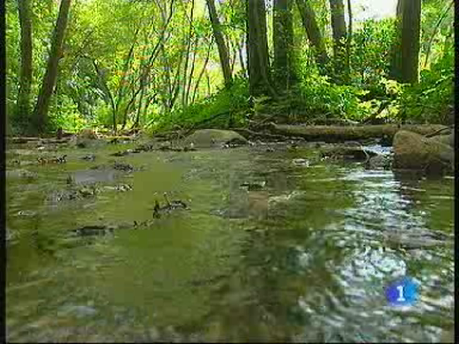 L'informatiu (28-08-2010)