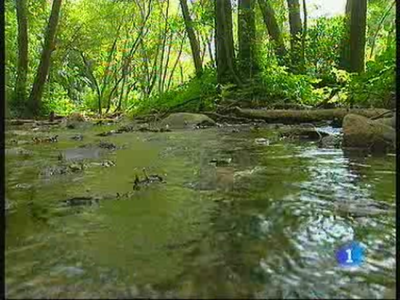 L'informatiu (28-08-2010)