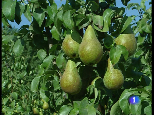 Informativo Telerioja - Informativo Telerioja - 30/08/10