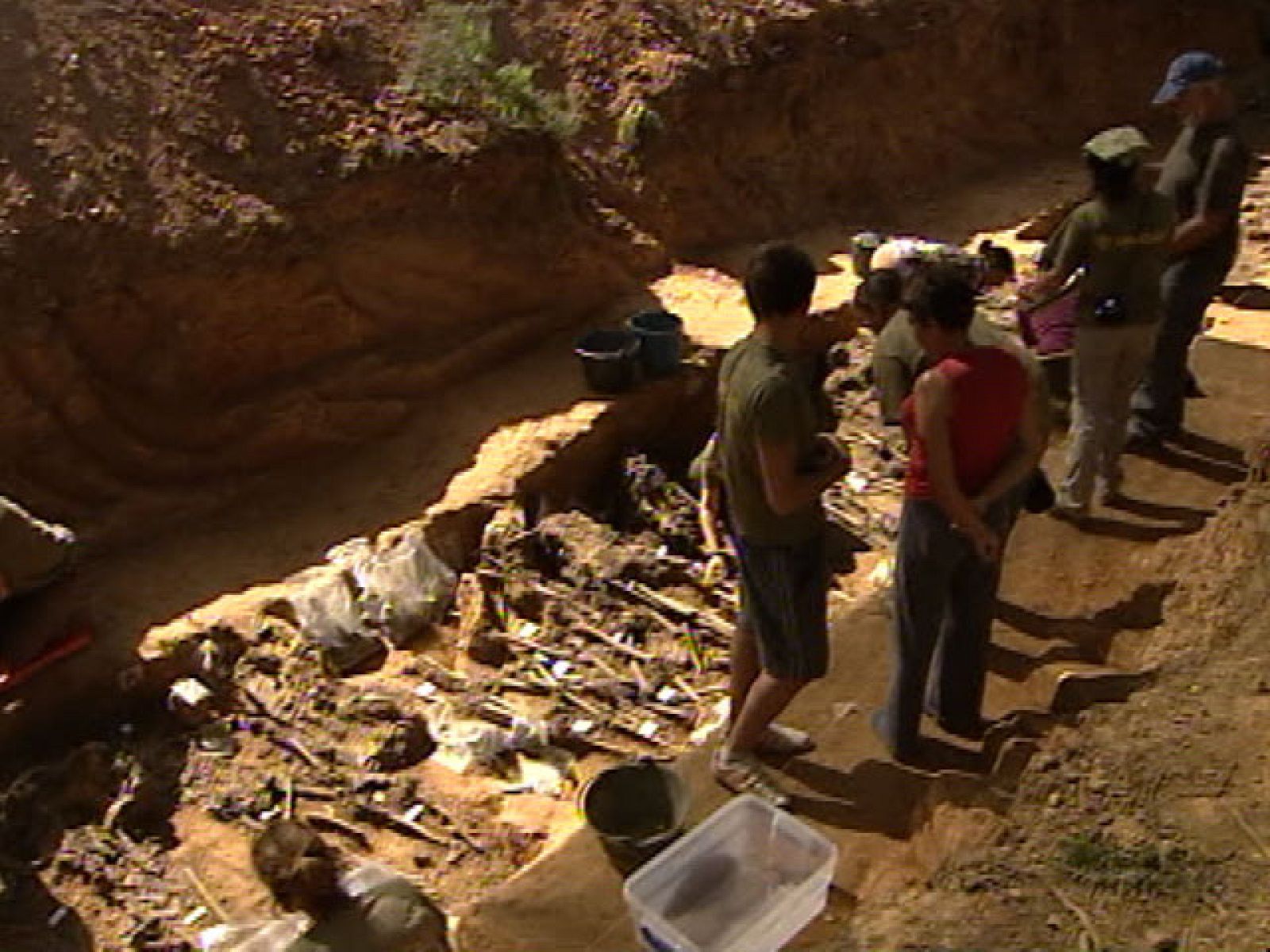 Día internacional de los desaparecidos | Ver