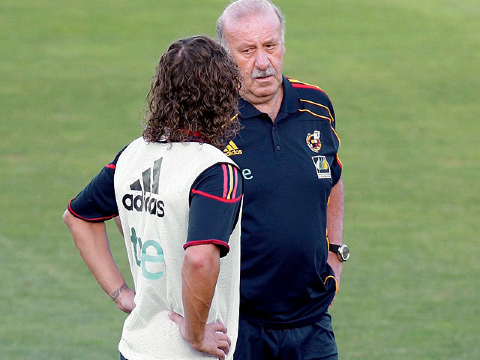 El defensa de la selección española Carles Puyol se ha lesionado y ha abandonado la concentración de la 'Roja', que se enfrentará a Liechtenstein este viernes.