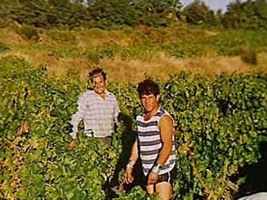 España Directo - A vendimiar por la crisis