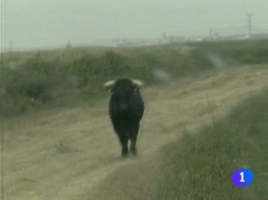 Telenavarra - Telenavarra - 01/09/10