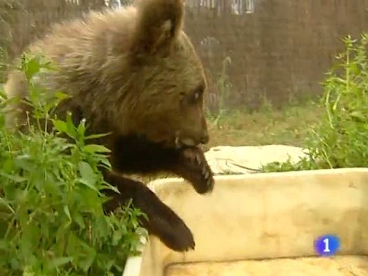 TeleCantabria - Telecantabria - 02/09/10