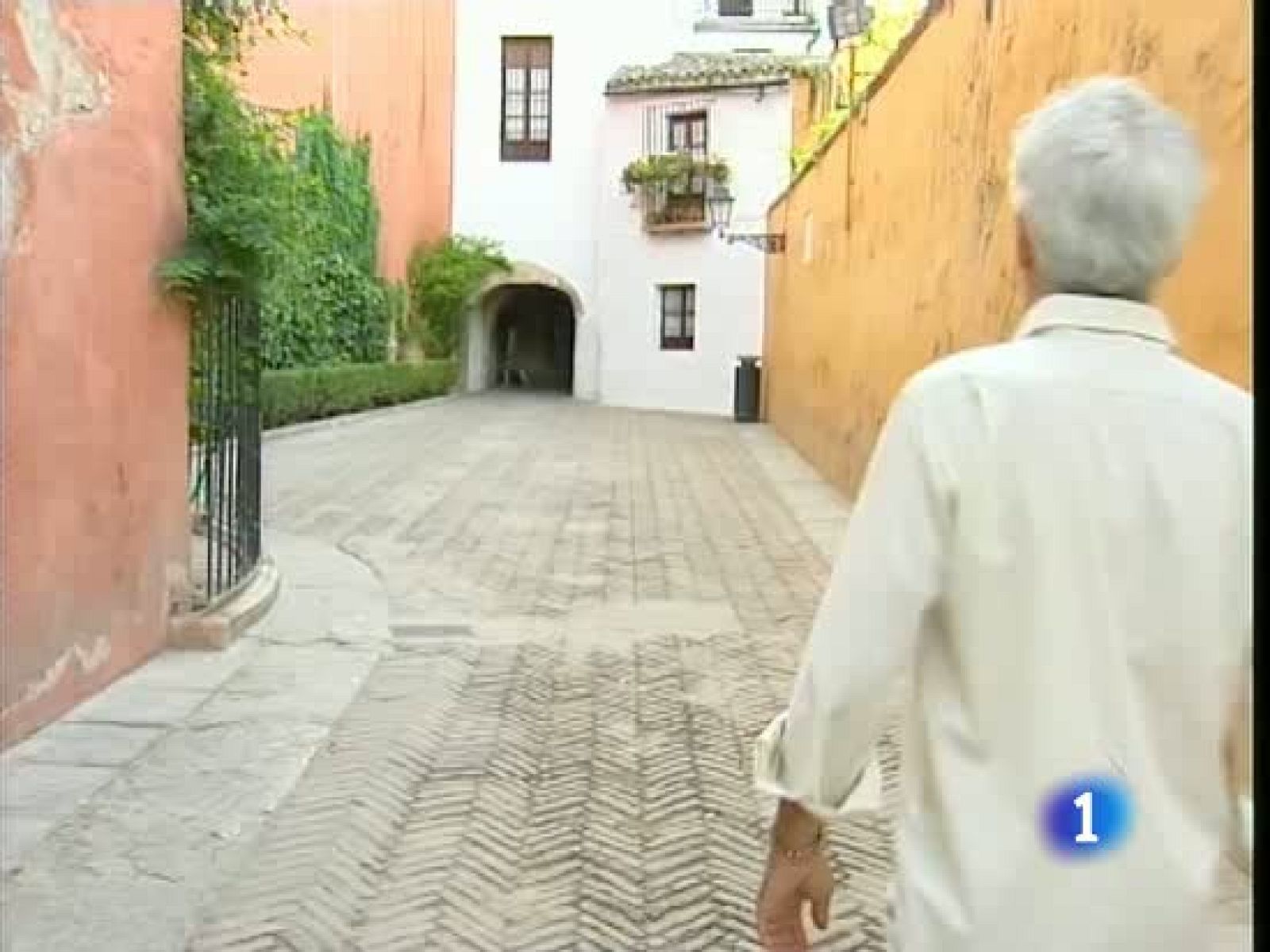 Kiko Veneno presenta 'Dice la gente' en el Telediario de TVE. Veneno asegura que "pesco entre la corriente" las cosas que dice la gente.