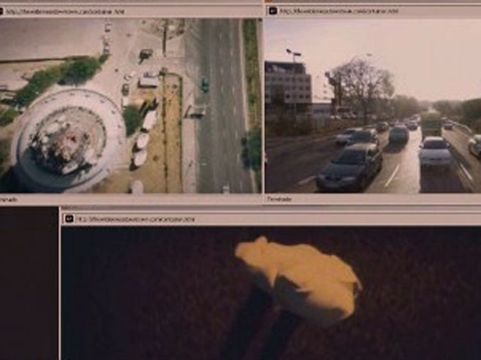 Tú decides la ciudad protagonista de un videoclip - Ciencia y tecnología en Rtve.es | Ver