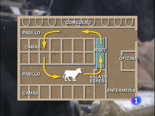  - Ordeñar vacas automáticamente