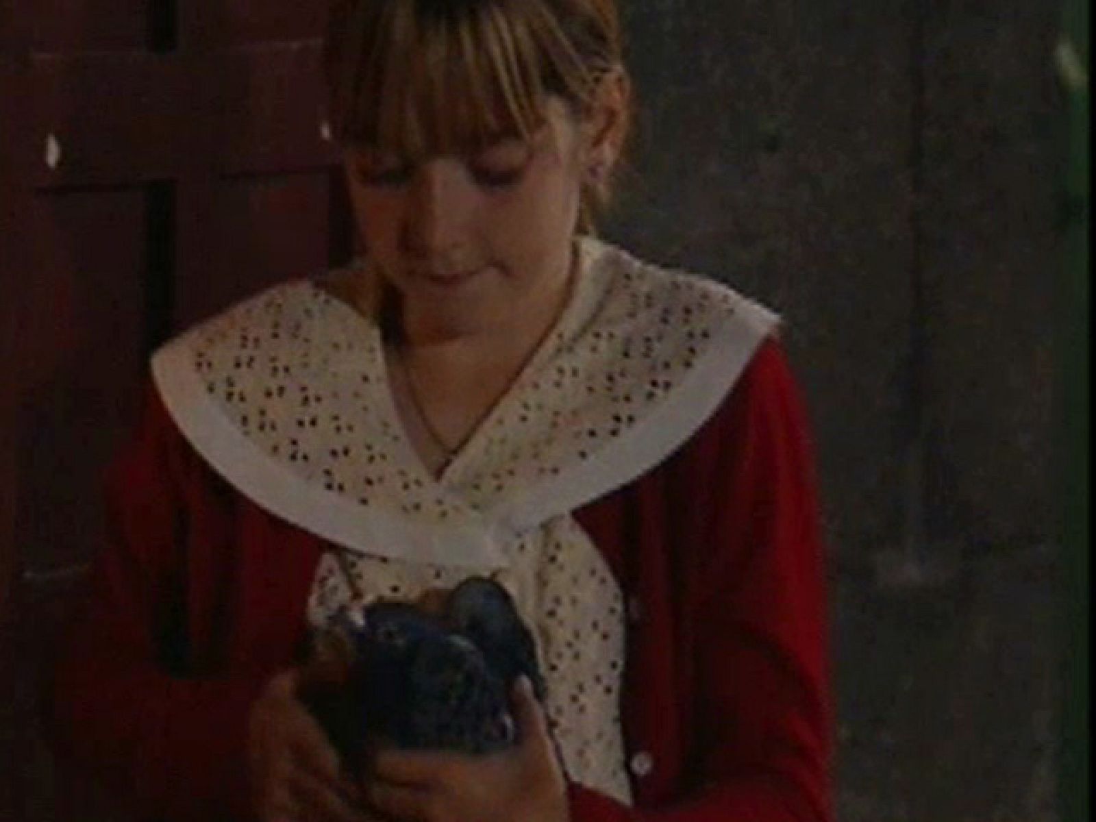 Amar - La paloma de la libertad