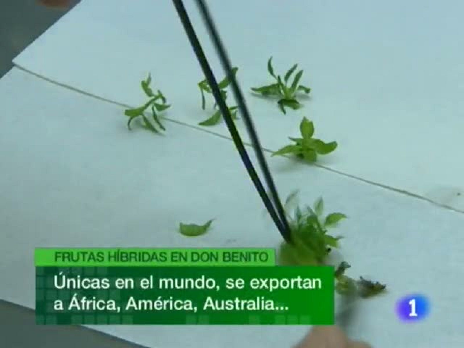 Noticias de Extremadura. Informativo Territorial de Extremadura. (09/09/2010)