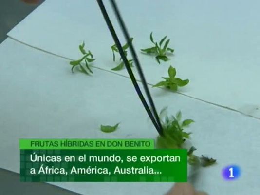 Noticias de Extremadura - Noticias de Extremadura - 09/09/10