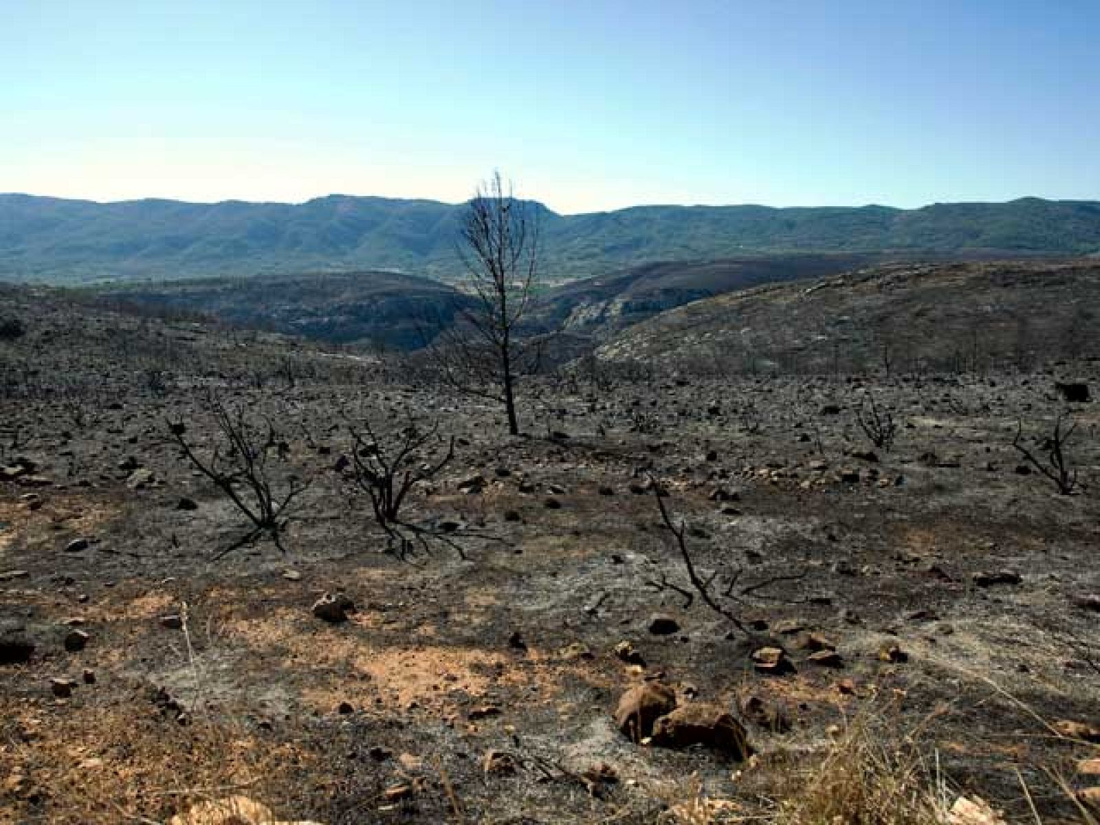 Controlados los incendios de la Comunidad Valenciana | Ver