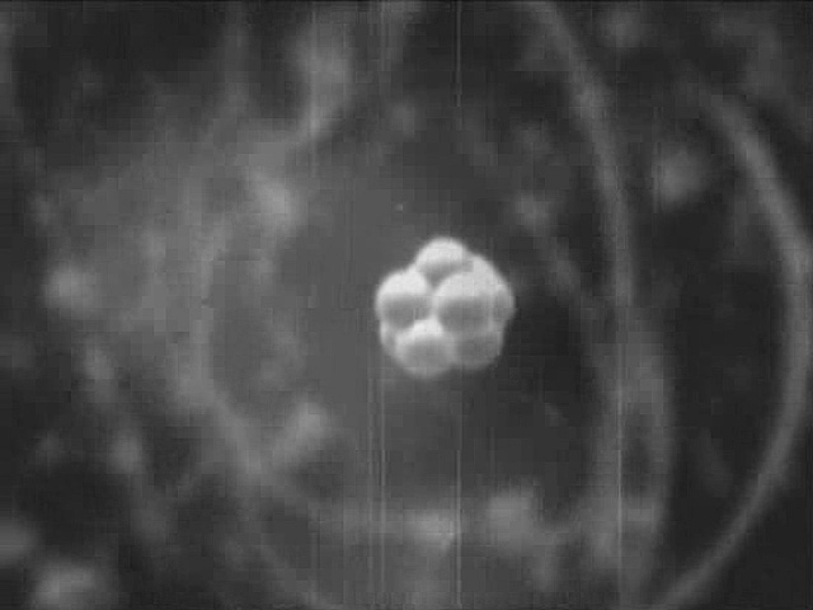 SERIE: Hallazgos y Creaciones. El átomo