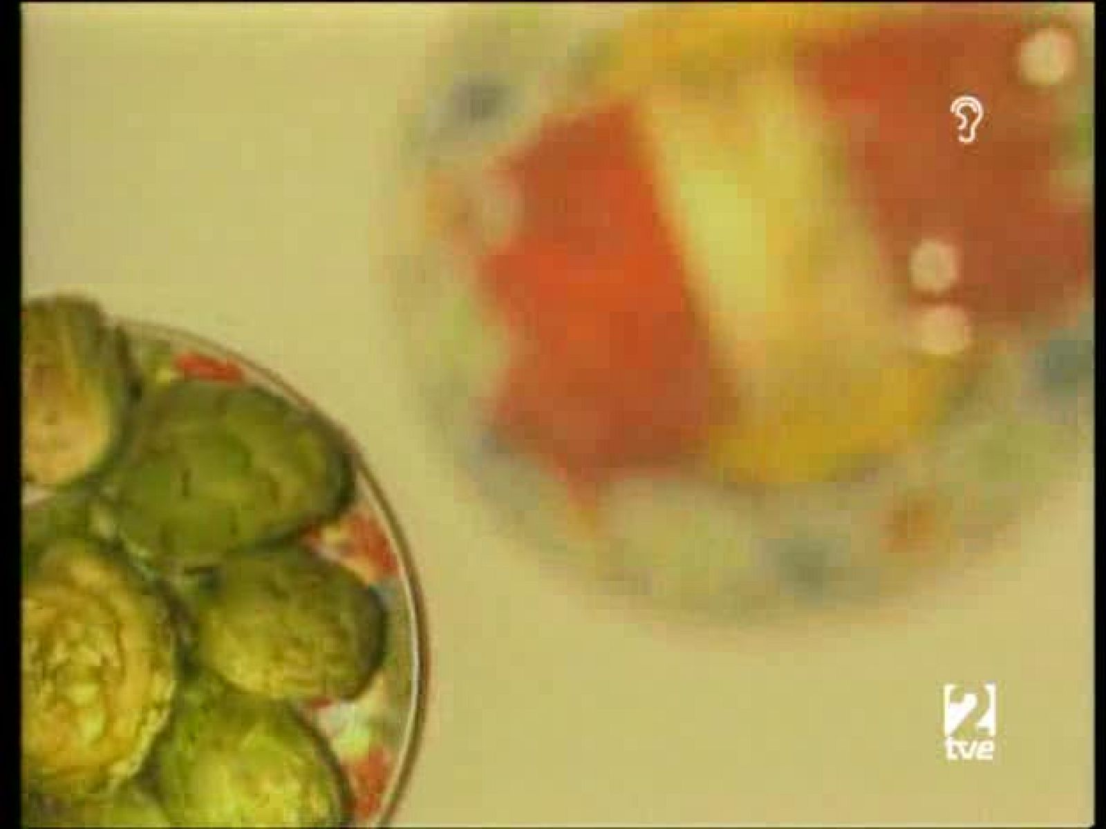 A pedir de boca - Vinos Montilla Moriles - A pedir de boca | Ver