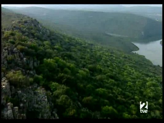 A pedir de boca - A pedir de boca - Cerezas del Jerte