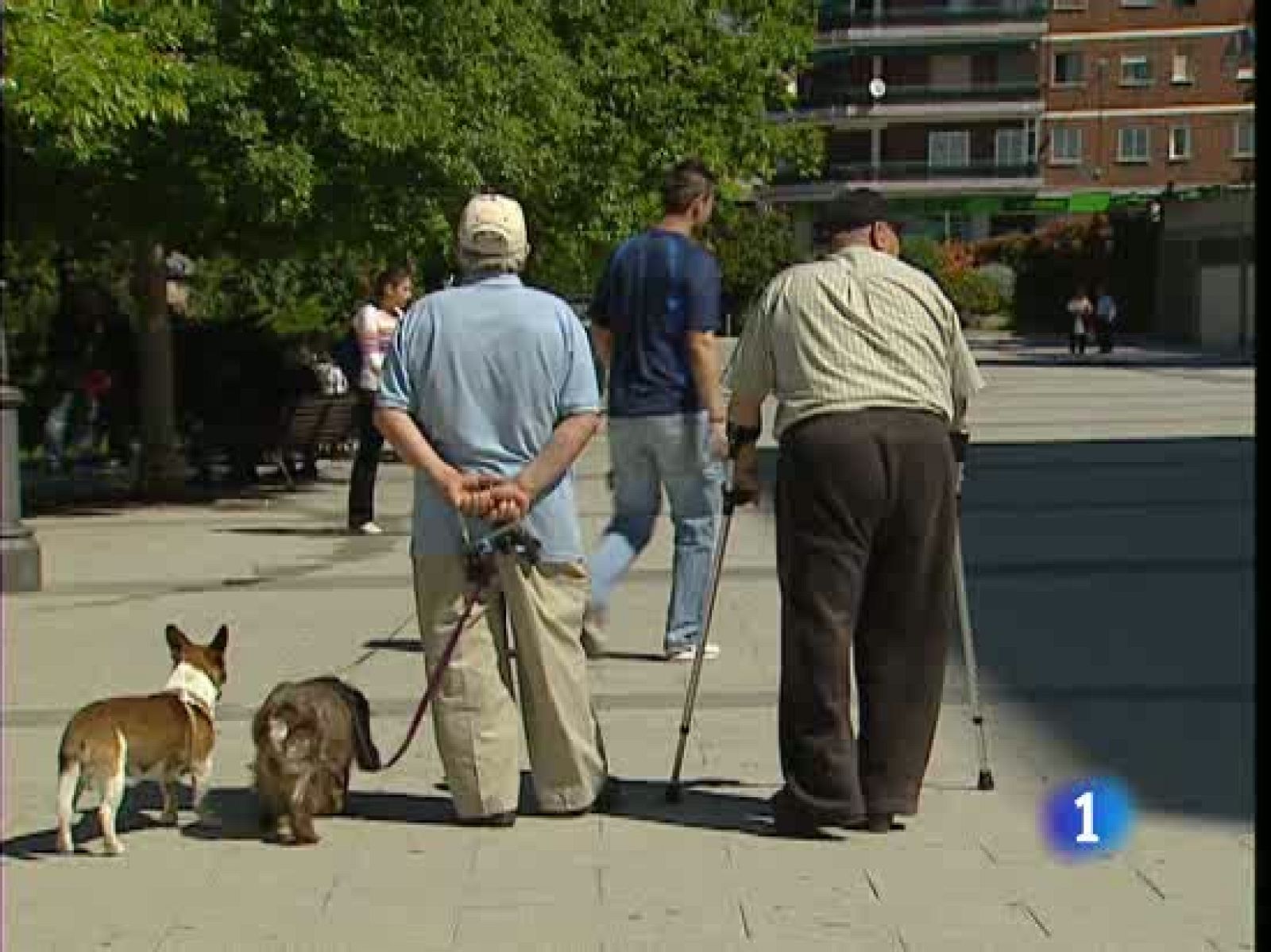 La patronal española insiste en la necesidad de reformar las pensiones | Ver