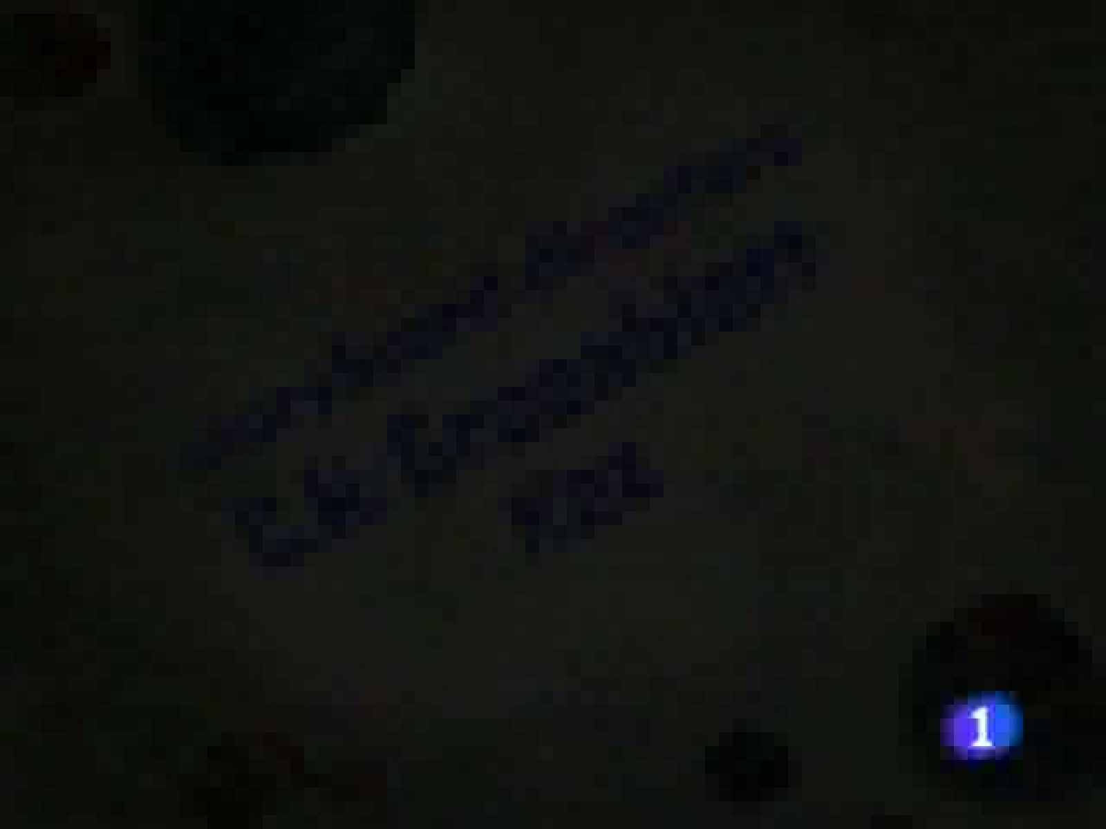 Bob Esponja