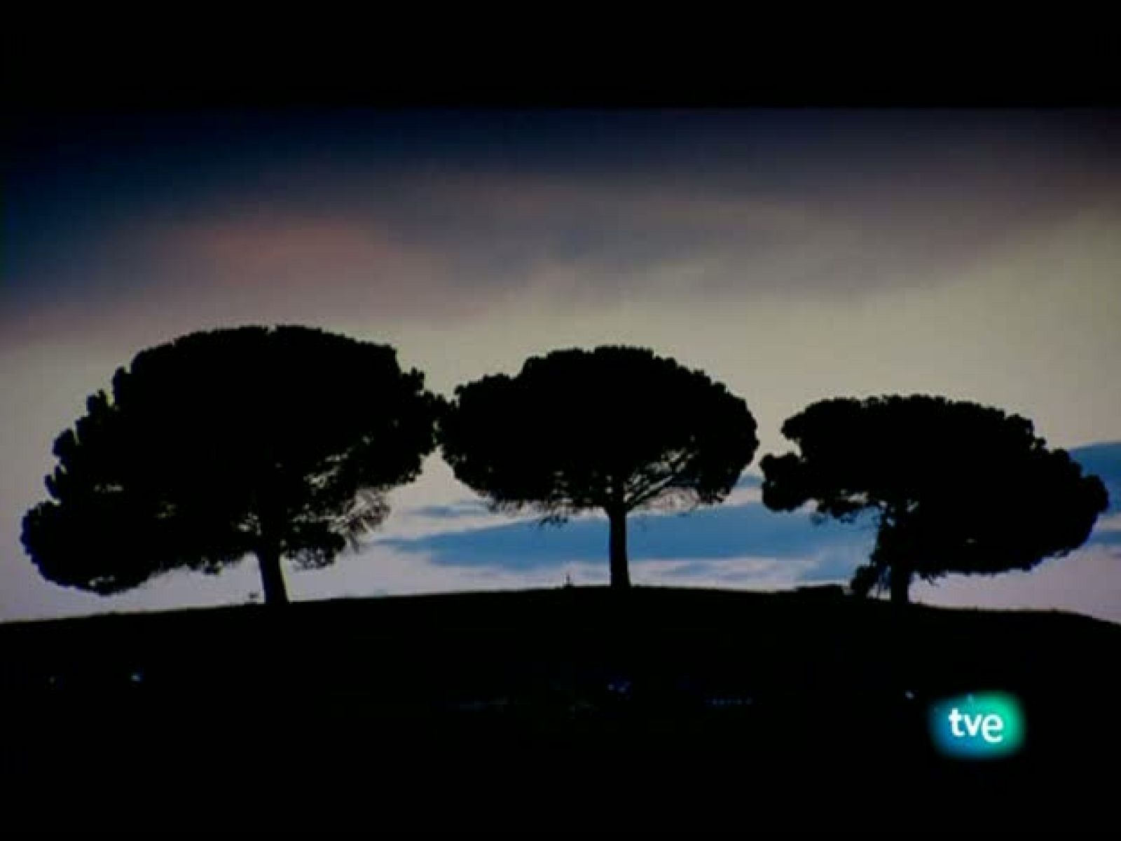 La dieta mediterránea - Frutos secos, condimentos y especias - La dieta mediterránea | Ver