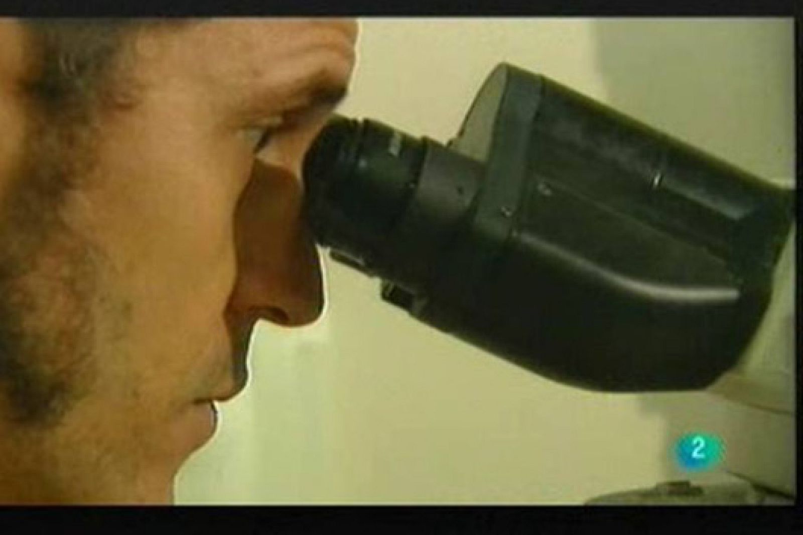 Debate Enfermedades Tropicales