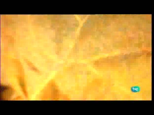 Con visado de calle - Con visado de calle - 21/09/10