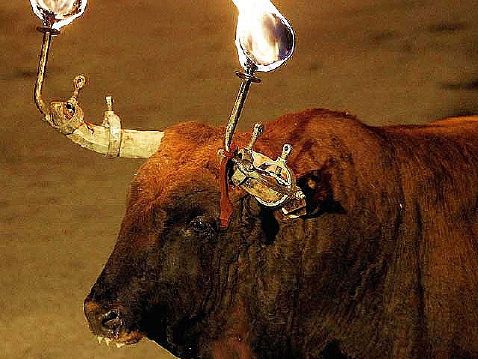 Cataluña blindará los correbous tras prohibir los toros | Ver