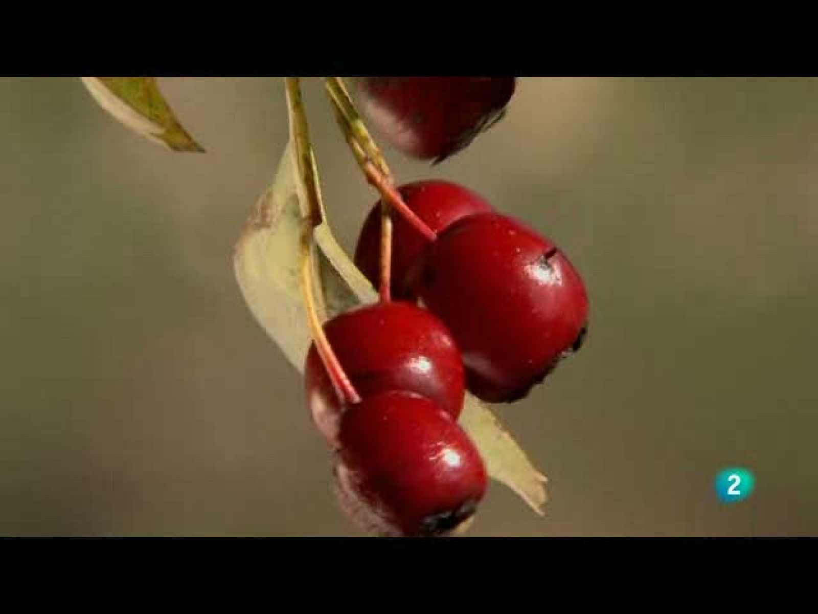 Biodiario (23/09/10)