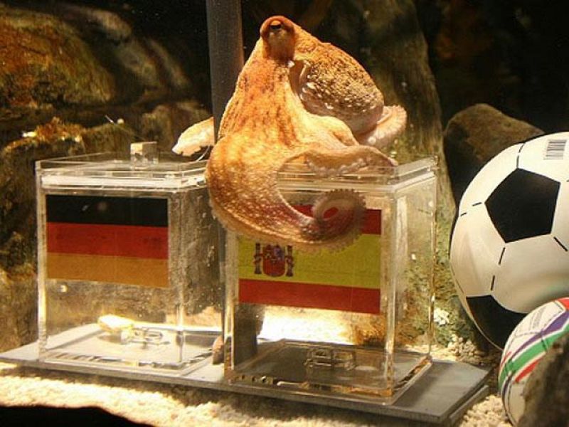 Paul es italiano | Ver