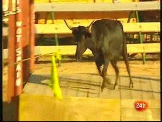 Aquí parlem - Els correbous