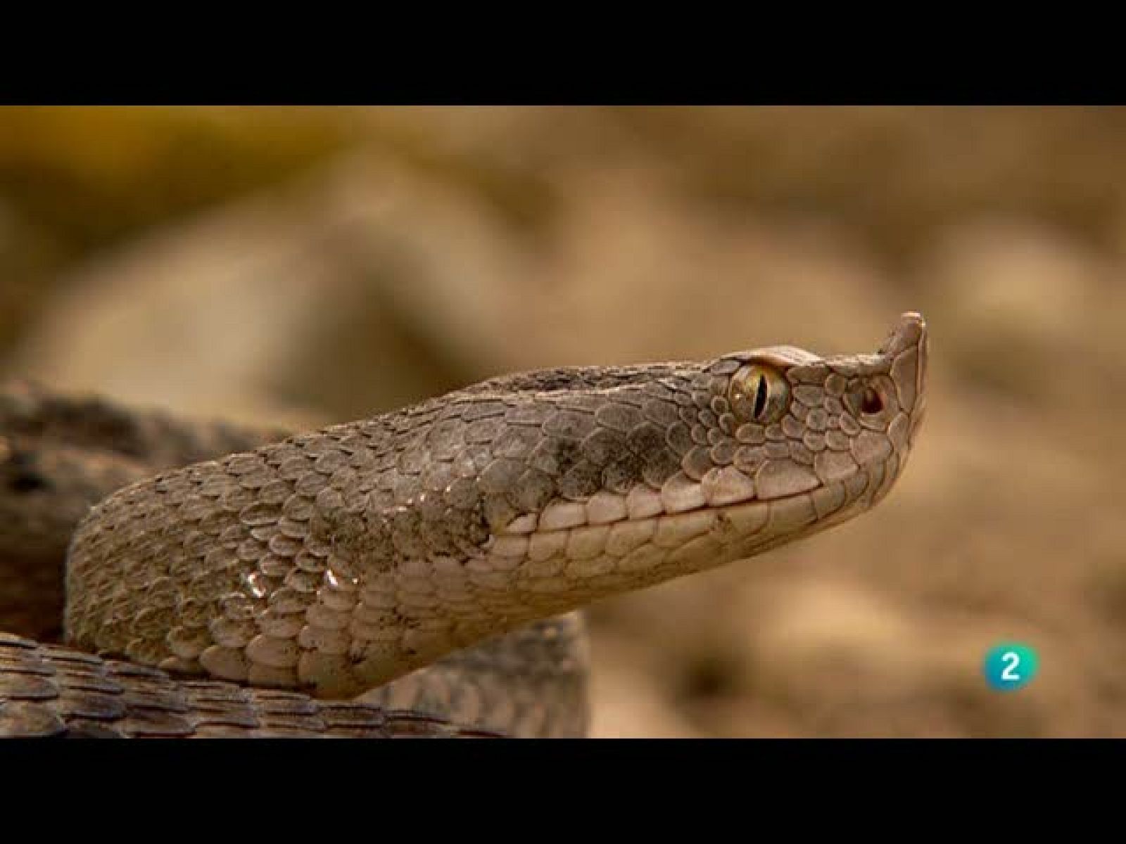 Biodiario (24/09/10)