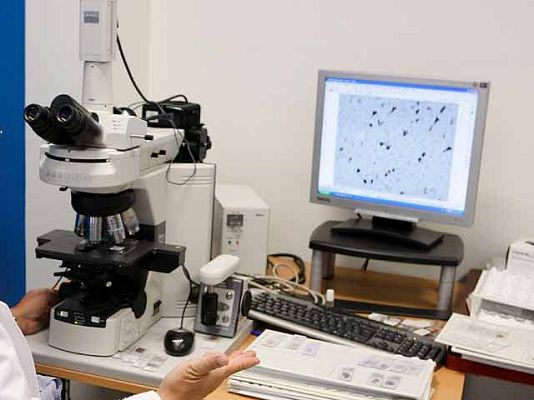 Ciencia y tecnología en Rtve.es - Investigadores: a la caza de becas